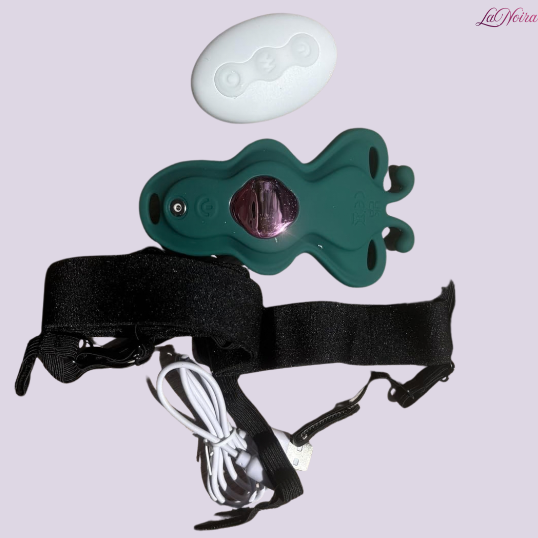 LaNoira butterfly app controlled vibrator laid flat with remote, USB charging cable and elastic thong strap