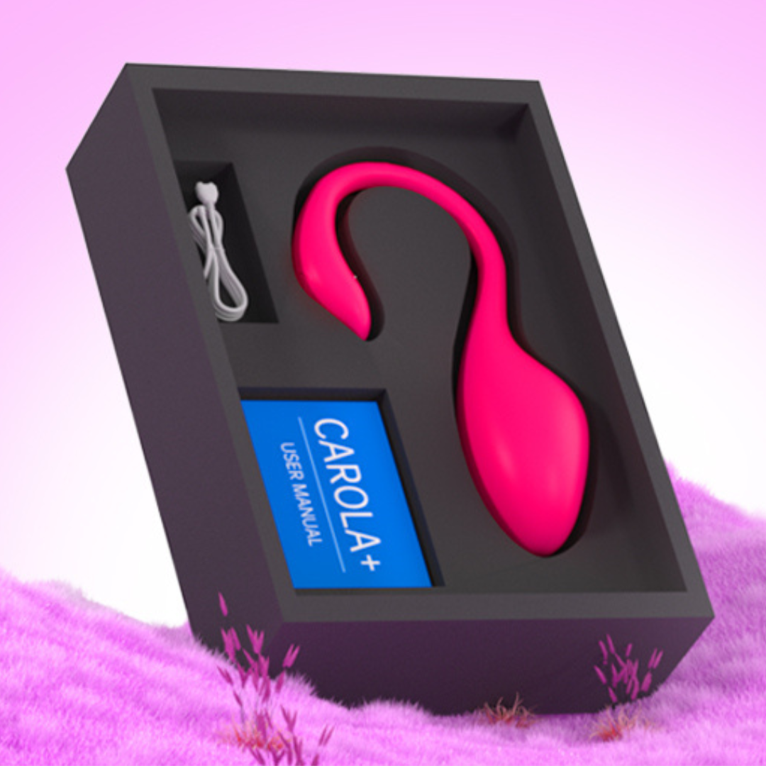 LaNoira Carola wearable vibrator packaging with charging cable and user manual inside box