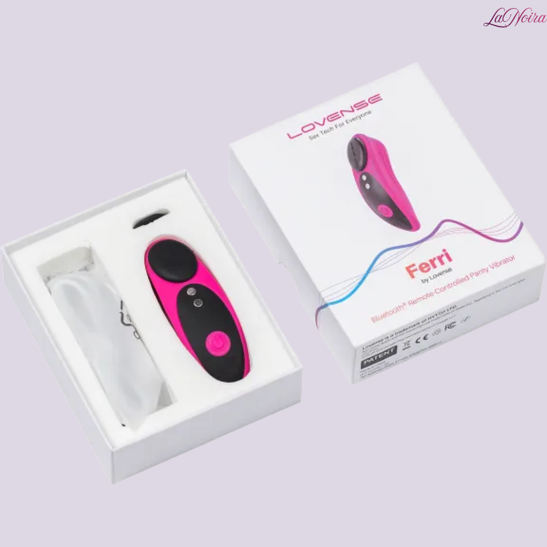 Lovense Ferri wearable panty vibrator box contents including device, charging cable, and retail packaging